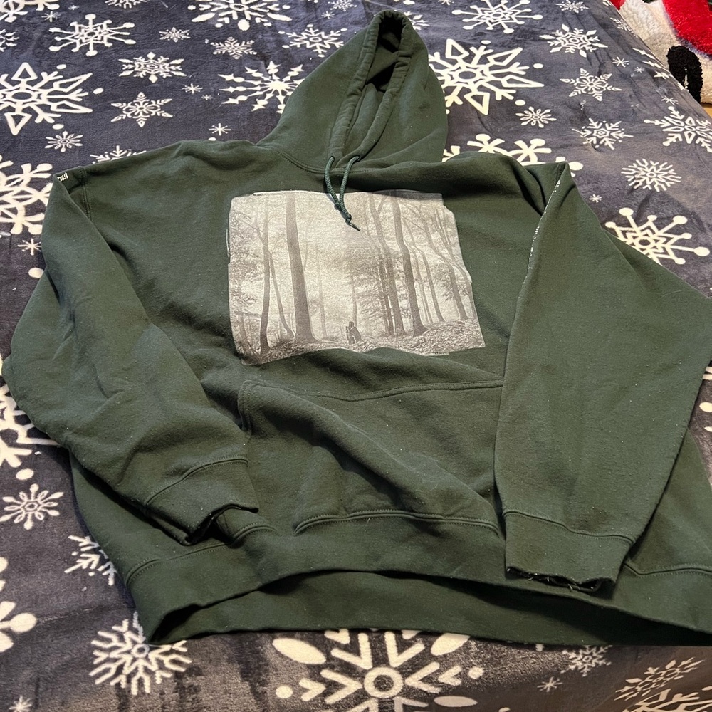 Taylor Swift green hoodie